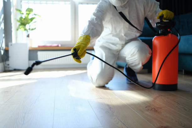 Reliable Hoarding Cleanup contractor in Fair Haven, NJ by Trauma Clean Pros